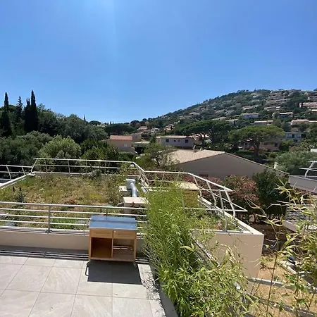 Avec Toit Terrasse *